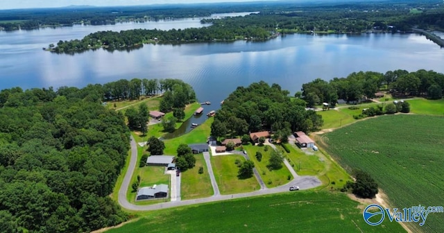 drone / aerial view featuring a water view and a view of trees