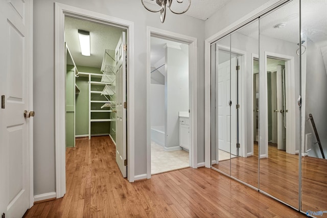 walk in closet featuring light hardwood / wood-style flooring