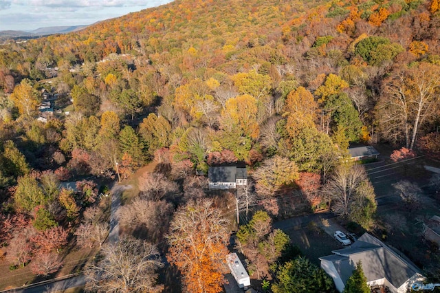 bird's eye view