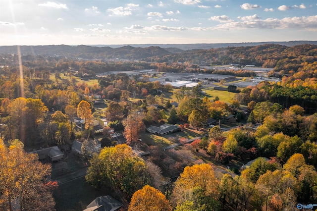 bird's eye view