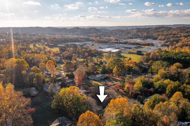 bird's eye view with a mountain view