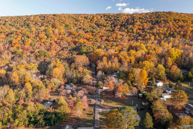 bird's eye view