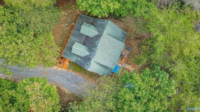 348 Rd 1951, Mentone, AL 35984 - aerial view of property and surrounding area