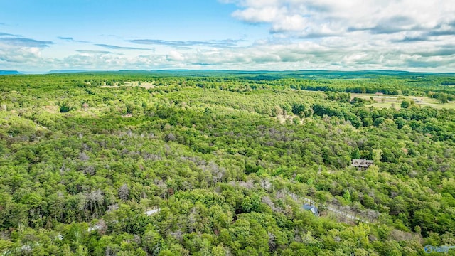 348 Rd 1951, Mentone, AL 35984 - aerial view of a forest