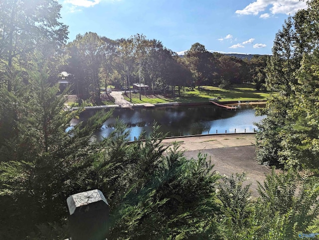 view of water feature