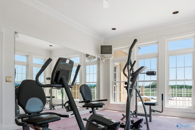 exercise room with carpet and ornamental molding