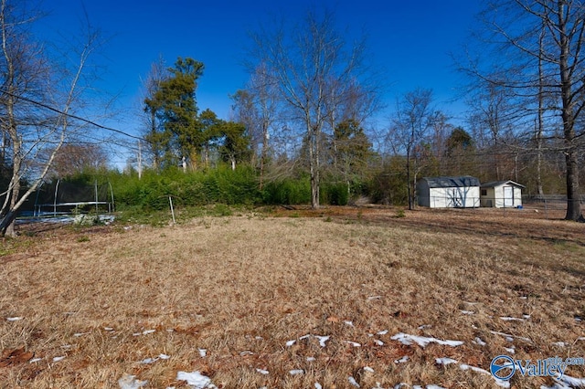 view of yard featuring a trampoline, an outdoor structure, and a storage unit