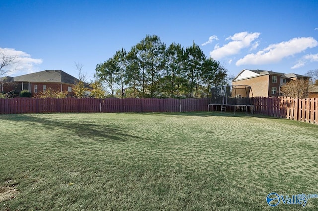 view of yard with a trampoline