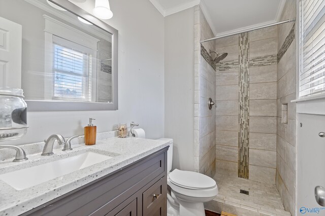 full bathroom featuring ornamental molding, toilet, a shower stall, and vanity