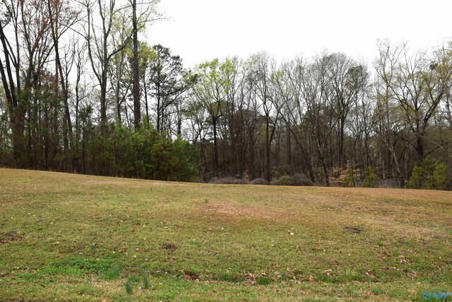 LOT21 Cheyenne Dr, Southside AL, 35907 land for sale