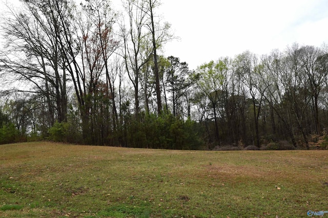 Listing photo 2 for LOT21 Cheyenne Dr, Southside AL 35907