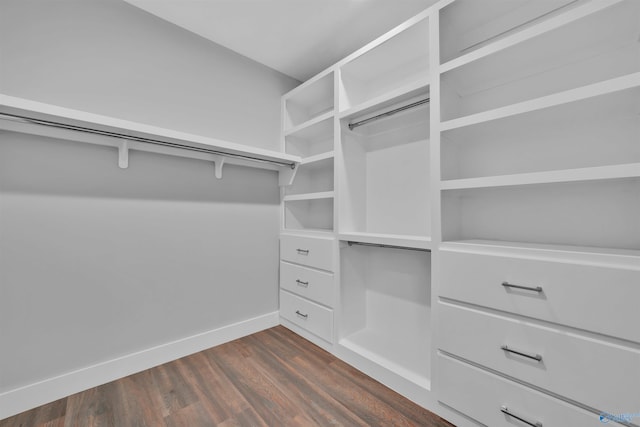 spacious closet featuring dark wood-type flooring