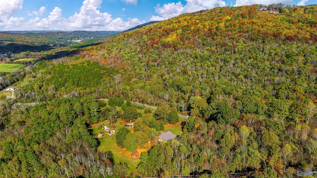 bird's eye view featuring a mountain view