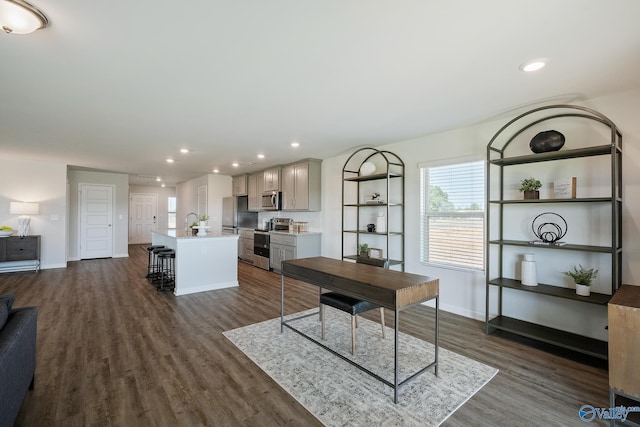 interior space featuring dark wood-type flooring and sink