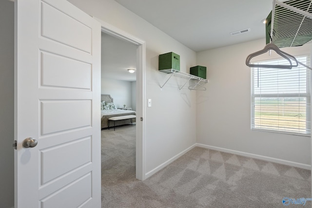 walk in closet with light carpet