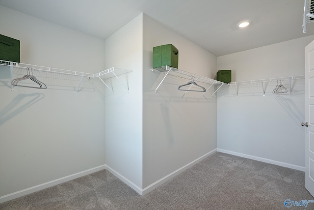 spacious closet with carpet