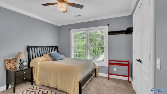 44 Jeff St, Scottsboro, AL 35769 - bedroom featuring light colored carpet, crown molding, a closet, and a ceiling fan