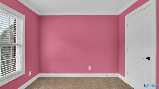 44 Jeff St, Scottsboro, AL 35769 - unfurnished room with carpet floors and ornamental molding