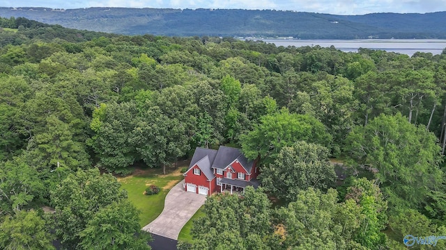 44 Jeff St, Scottsboro, AL 35769 - aerial view of property and surrounding area with a heavily wooded area and a large body of water