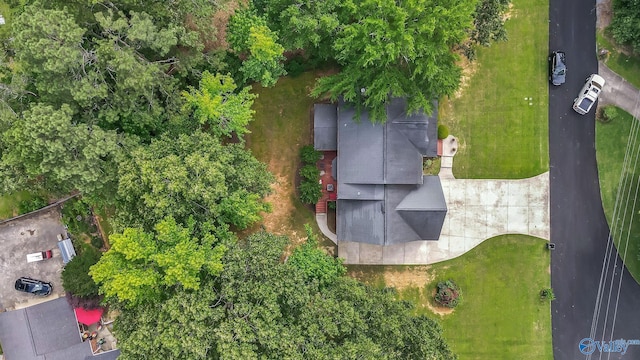 44 Jeff St, Scottsboro, AL 35769 - bird's eye view