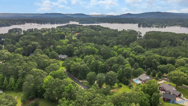44 Jeff St, Scottsboro, AL 35769 - drone / aerial view of a water and mountain view