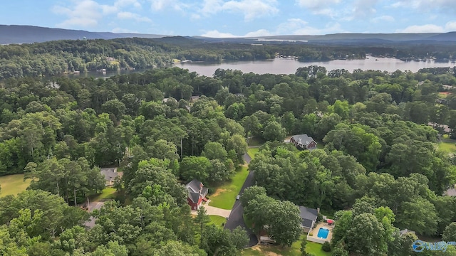 44 Jeff St, Scottsboro, AL 35769 - aerial view of a large body of water