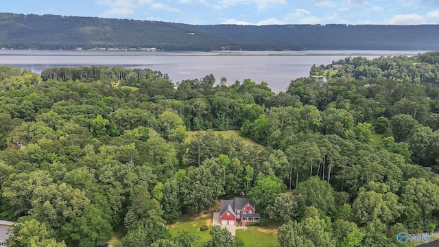 44 Jeff St, Scottsboro, AL 35769 - view of property location with a large body of water