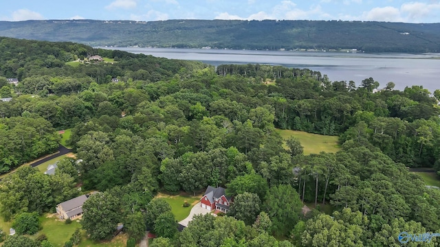 44 Jeff St, Scottsboro, AL 35769 - aerial view of property's location featuring a nearby body of water and a heavily wooded area
