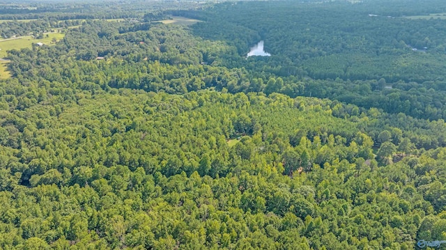 30ACRES County Road 261, Fort Payne, AL 35967