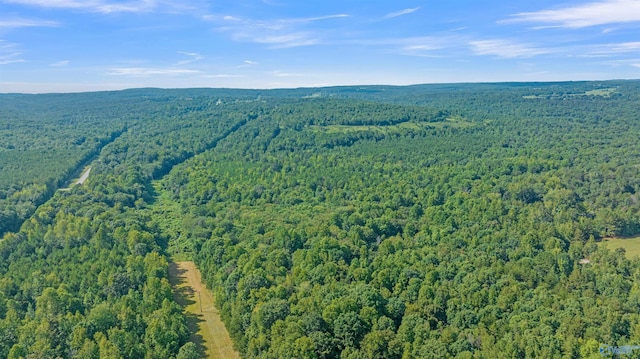 30ACRES County Road 261, Fort Payne, AL 35967