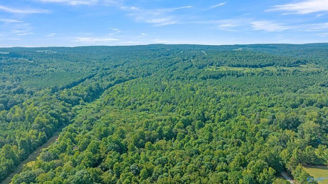 30ACRES County Road 261, Fort Payne, AL 35967