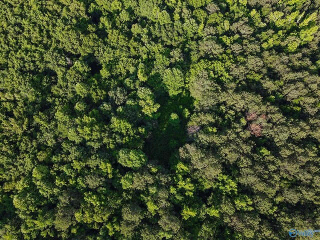 30ACRES County Road 261, Fort Payne, AL 35967