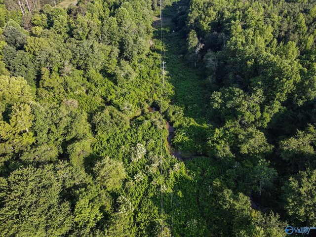 30ACRES County Road 261, Fort Payne, AL 35967