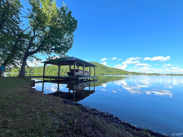 dock area with a water view