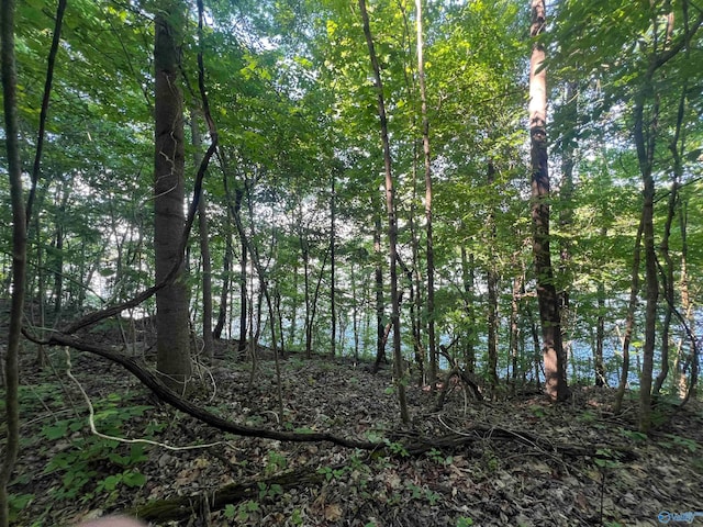 view of local wilderness