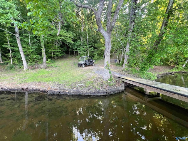 dock area with a water view