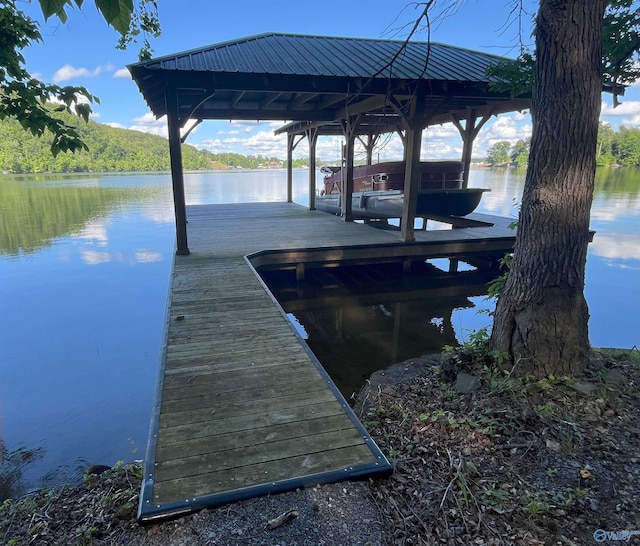 dock area with a water view