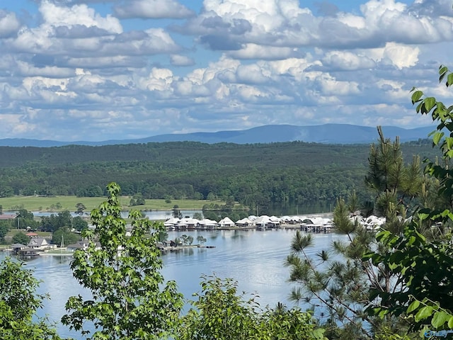 view of water feature featuring a mountain view