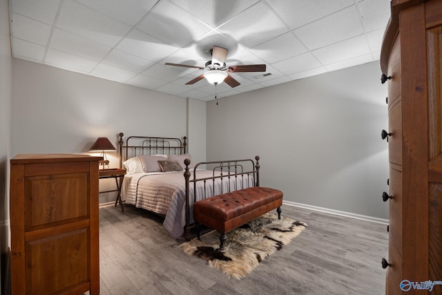 bedroom featuring a drop ceiling, hardwood / wood-style flooring, and ceiling fan