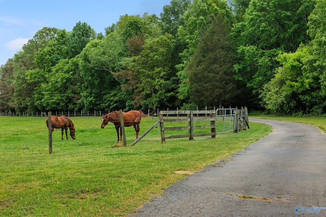 view of home's community with a yard and a rural view