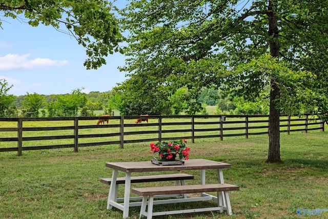 view of yard with a rural view