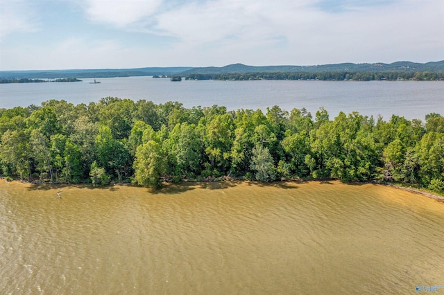 FF Moneys Bend Rd, Cedar Bluff, AL 35960