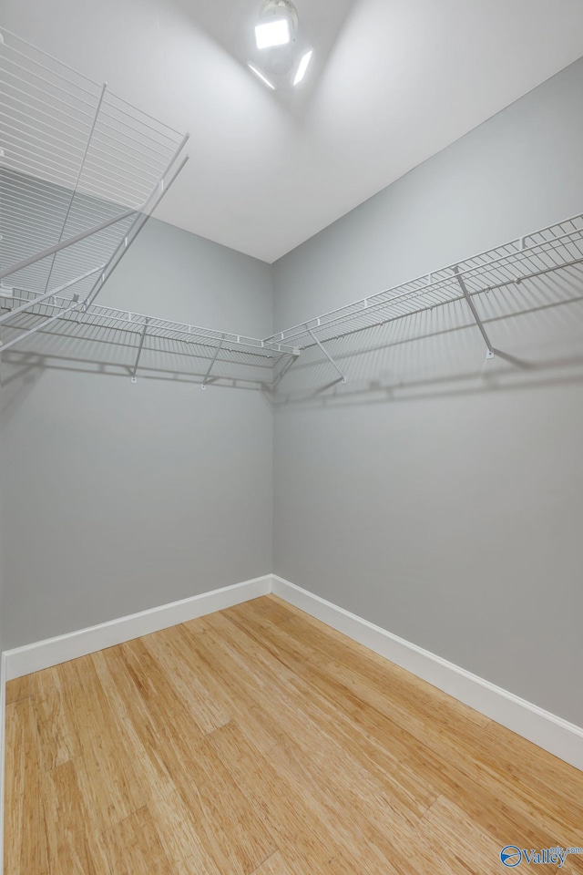 spacious closet with light wood-style flooring