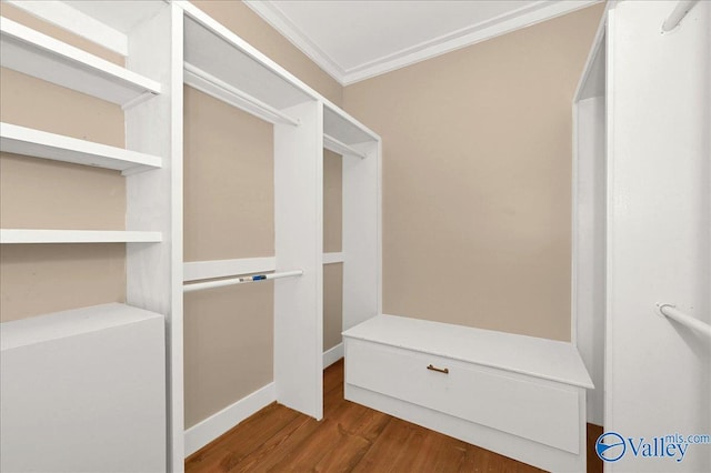 spacious closet with wood finished floors