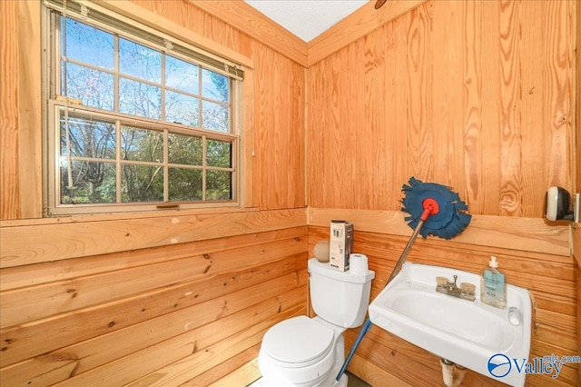 bathroom featuring wood walls, a sink, and toilet