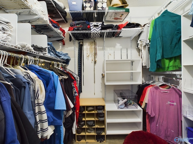 view of walk in closet