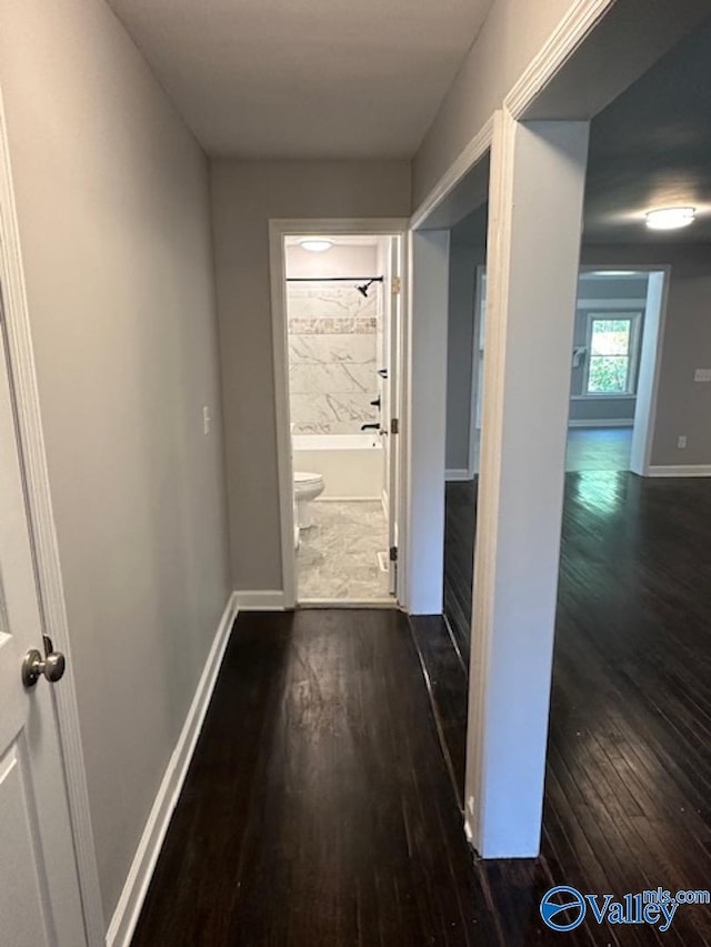 hallway with dark wood-type flooring