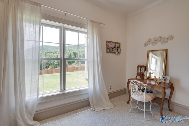 2602 Legacy Preserve Dr, Brownsboro, AL 35741 - office featuring healthy amount of natural light, baseboards, and ornamental molding