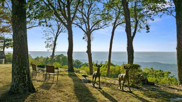 view of yard featuring a water view