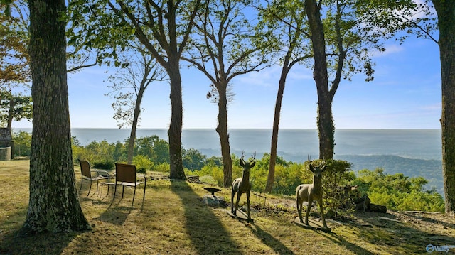 view of property's community featuring a water view